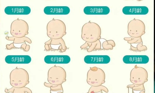 帝王药-帝王胶囊说明书网 - 网站提供帝王丸是什么药小常识、帝王胶囊说明书用法用量
